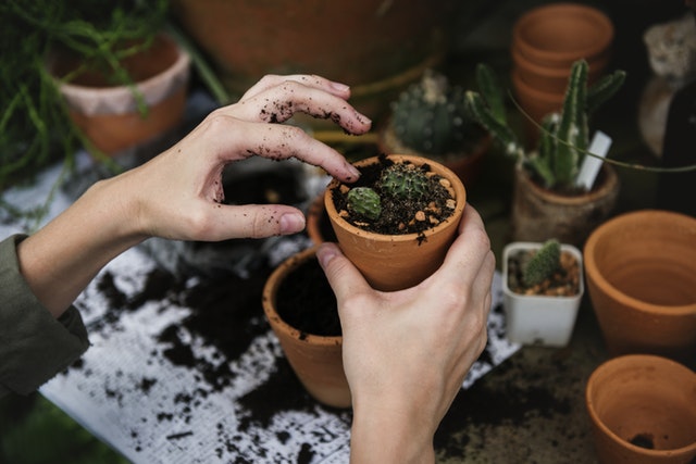 Dementia-Friendly Activities