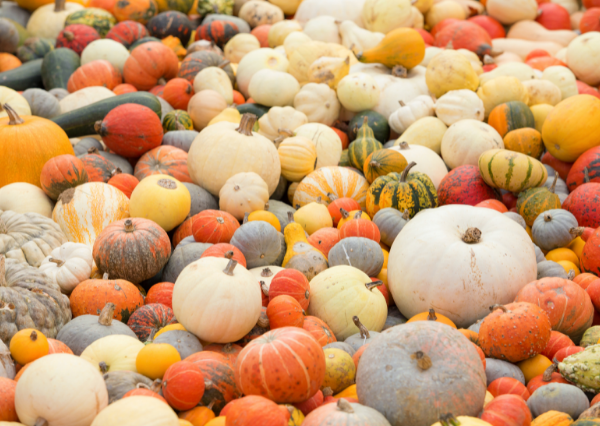 Looking after loved ones with Dementia over Halloween