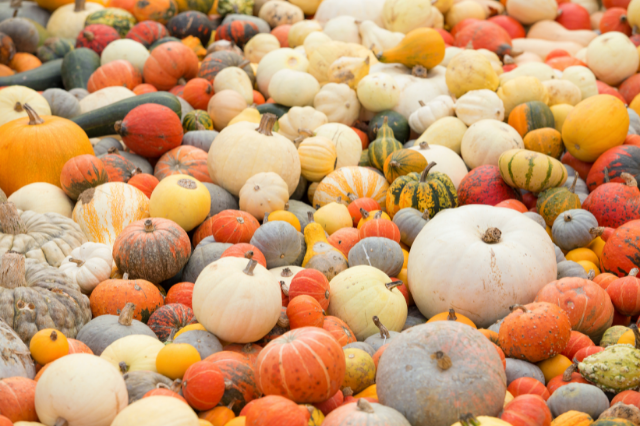 Looking after loved ones with Dementia over Halloween