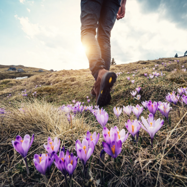 Dementia activities